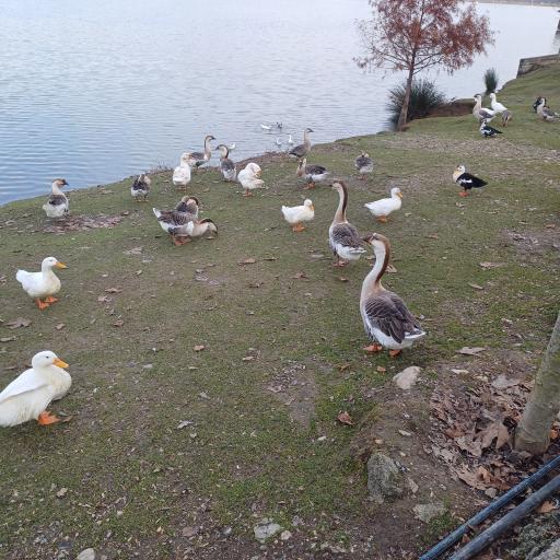 عکس دریاچه سد آبیدر (آویدر)