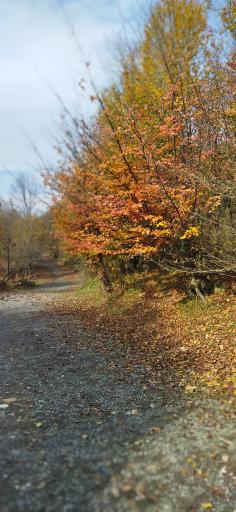 عکس دریاچه سد آبیدر (آویدر)