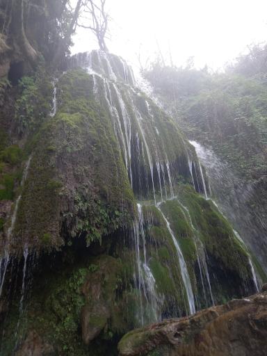 عکس جنگل کبودوال