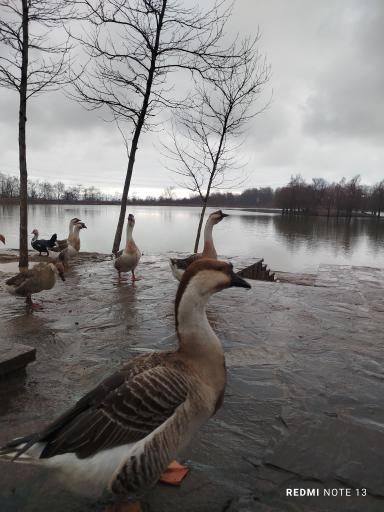 عکس دریاچه سد آبیدر (آویدر)