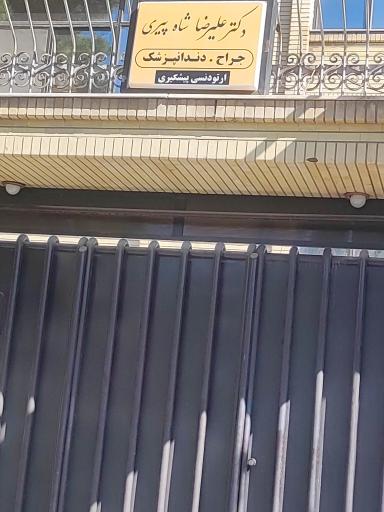 عکس دکتر علیرضا شاه پیری زیارتگاهی