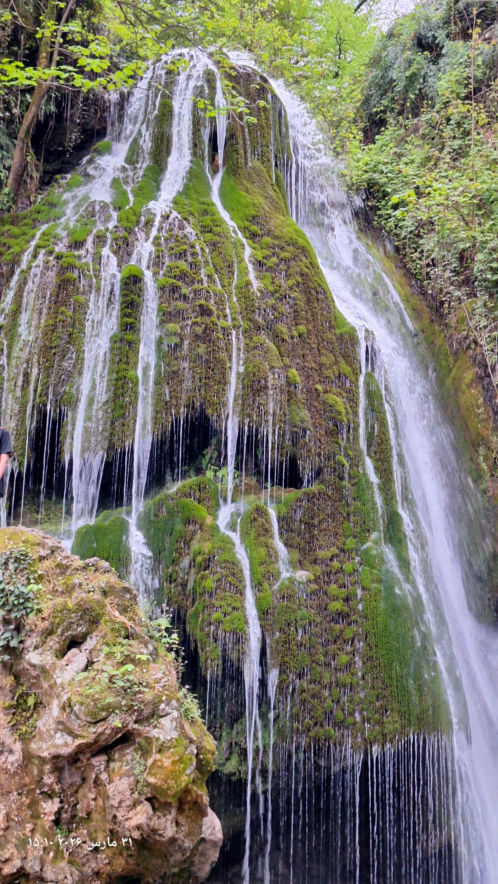 عکس جنگل کبودوال