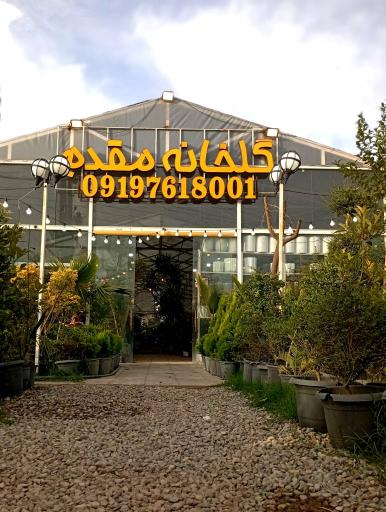 عکس گلخانه مقدم