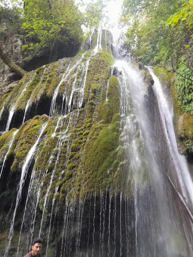 عکس جنگل کبودوال
