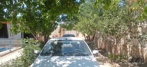 عکس باغ زوار