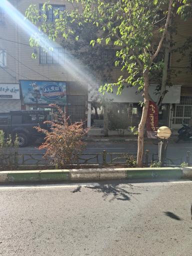 عکس لبنیات سعید