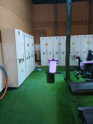 عکس باشگاه بدنسازی آلفا