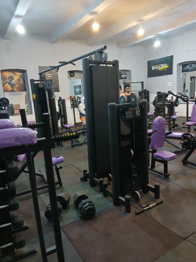 عکس باشگاه بدنسازی آلفا