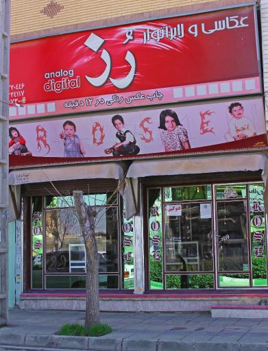 عکس آتلیه عکاسی رُز