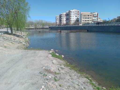 عکس صوفی چای