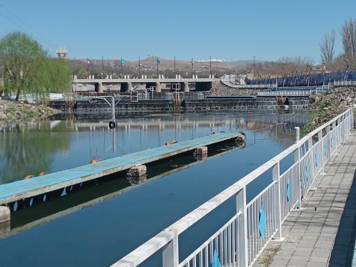 عکس صوفی چای