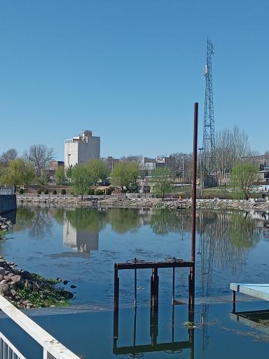 عکس صوفی چای