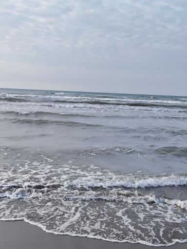 عکس ساحل امین آباد