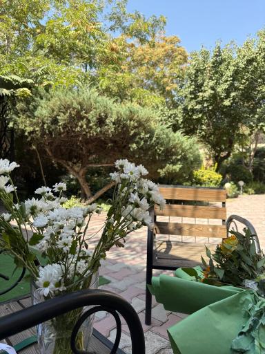 عکس ملکا لانژ