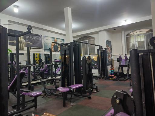 عکس باشگاه بدنسازی آلفا