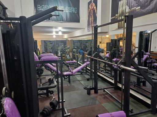 عکس باشگاه بدنسازی آلفا