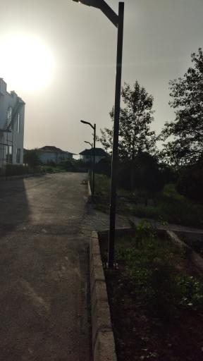 عکس شهرک امیتیس چای باغ