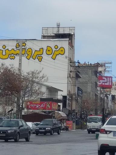 مجموعه مزه پروتئین