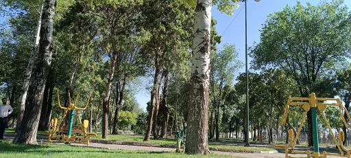 عکس پارک دلفین