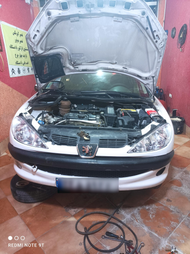 عکس مکانیکی و جلوبندی سناتور