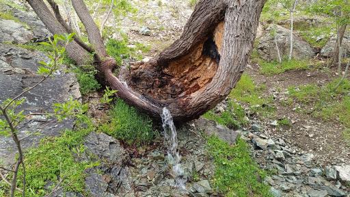 عکس چشمه بیدستان