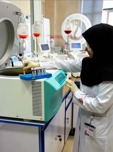 عکس مرکز سلول‌های بنیادی برای همه (رویان)