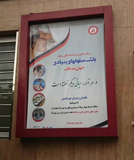 عکس مرکز سلول‌های بنیادی برای همه (رویان)