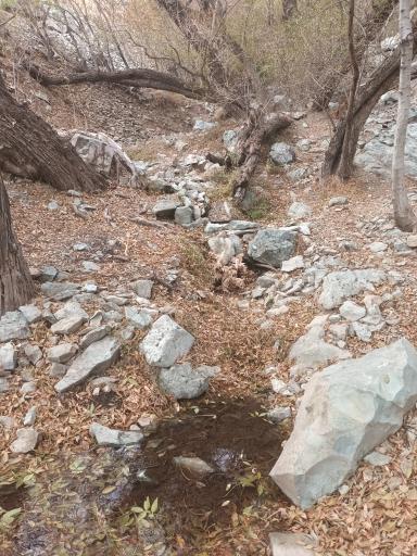 عکس چشمه بیدستان