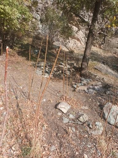 عکس چشمه بیدستان