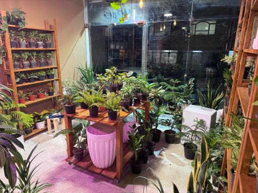 عکس فروشگاه باباگل