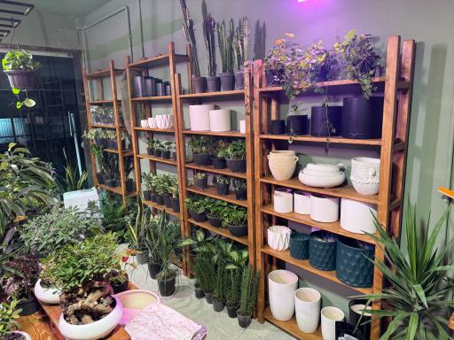 عکس فروشگاه باباگل