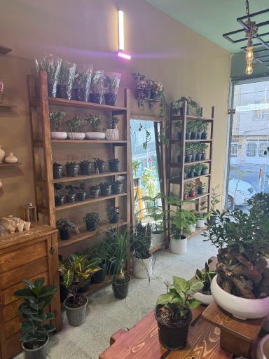 عکس فروشگاه باباگل