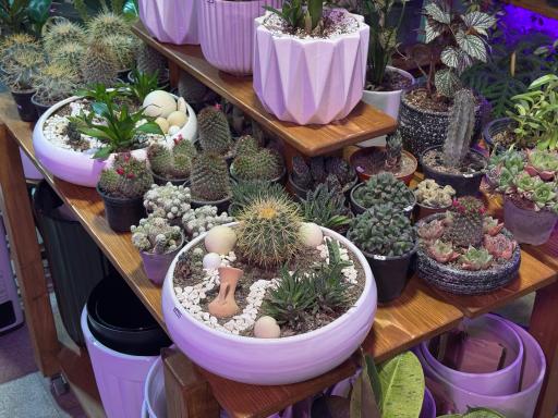 عکس فروشگاه باباگل