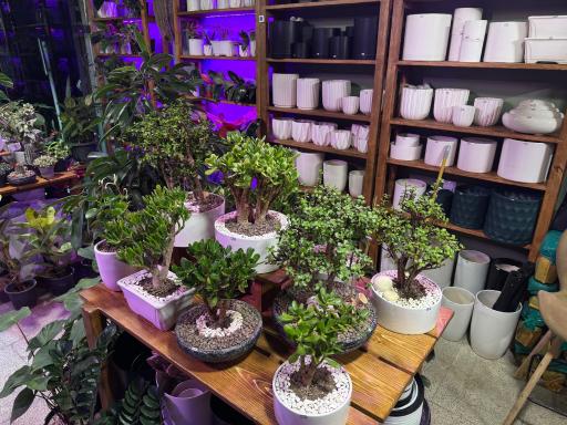 عکس فروشگاه باباگل