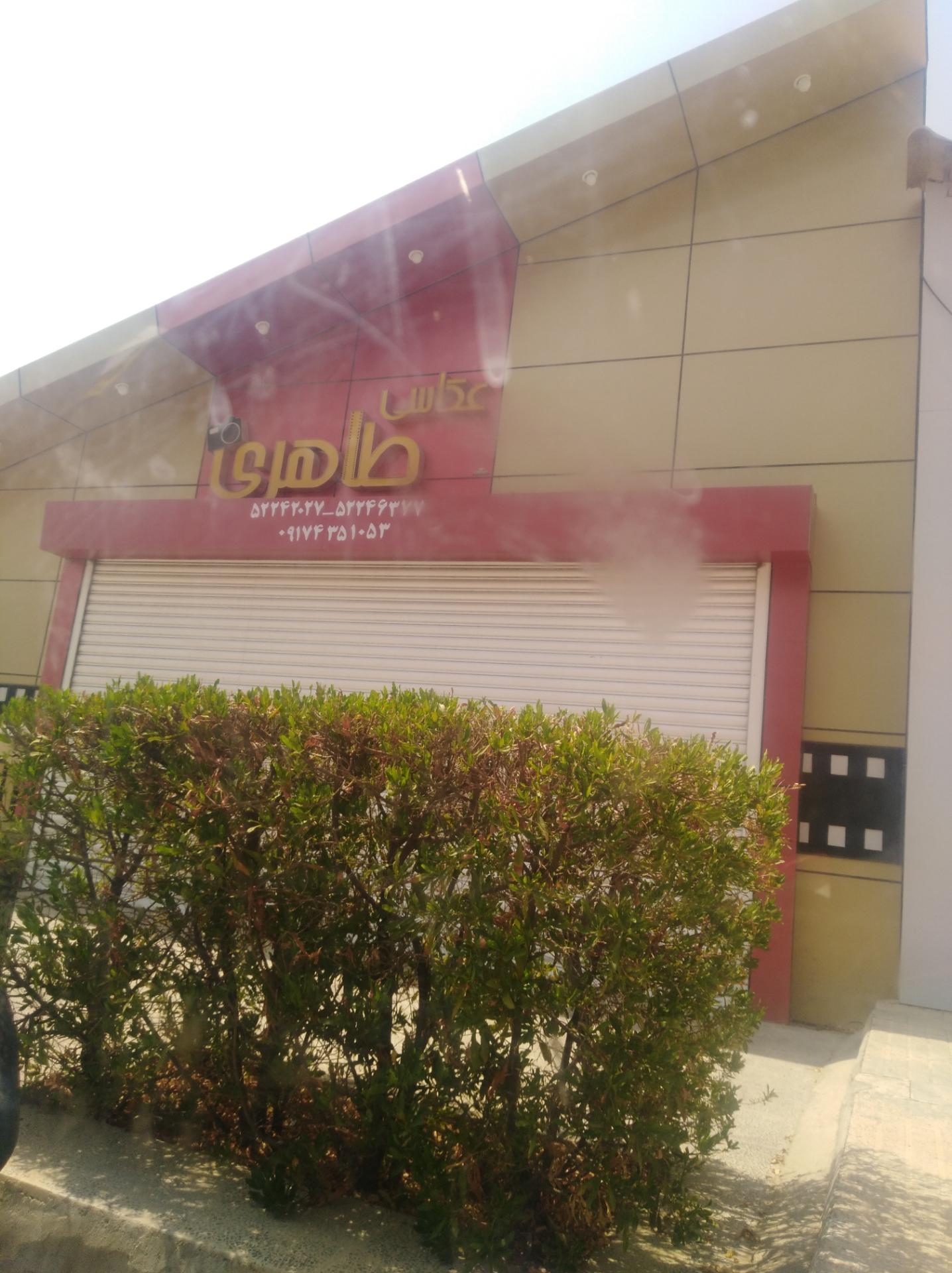 عکس عکاسی طاهری