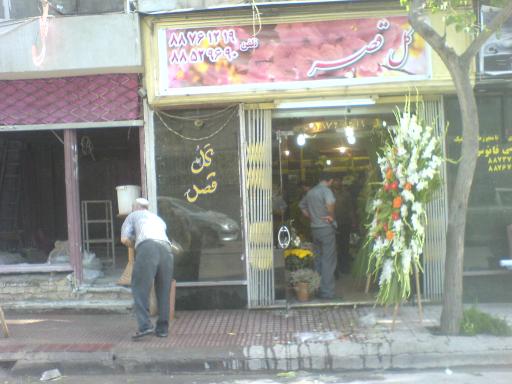 عکس گل فروشی قصر