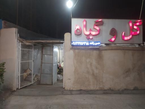 عکس گل و گیاه حسن زاده