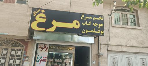 عکس مرغ مشتاق