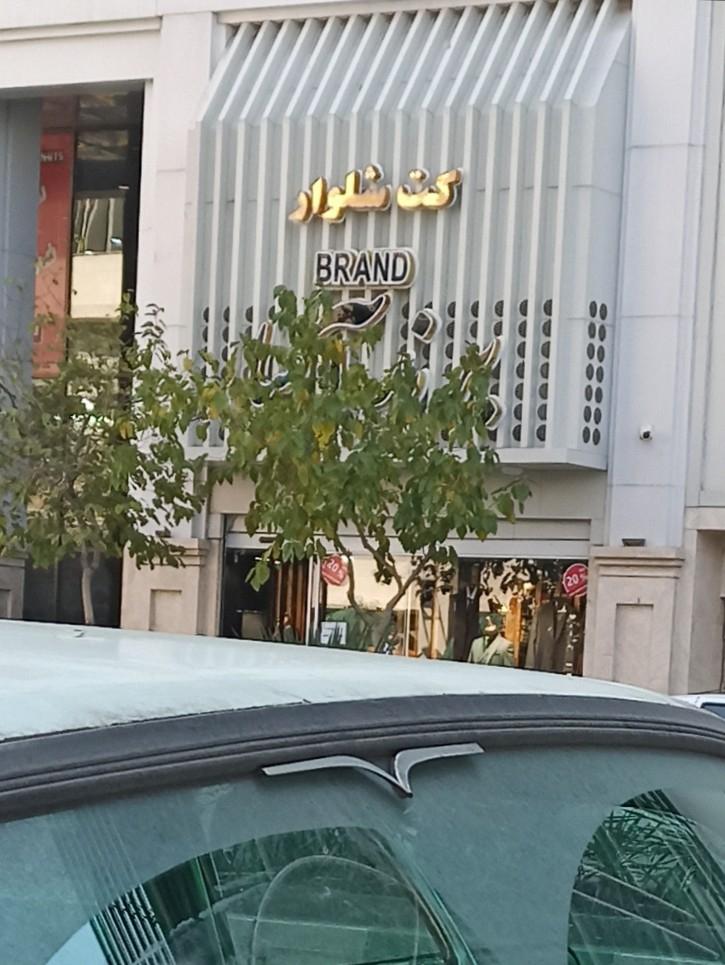 عکس کت و شلوار برند