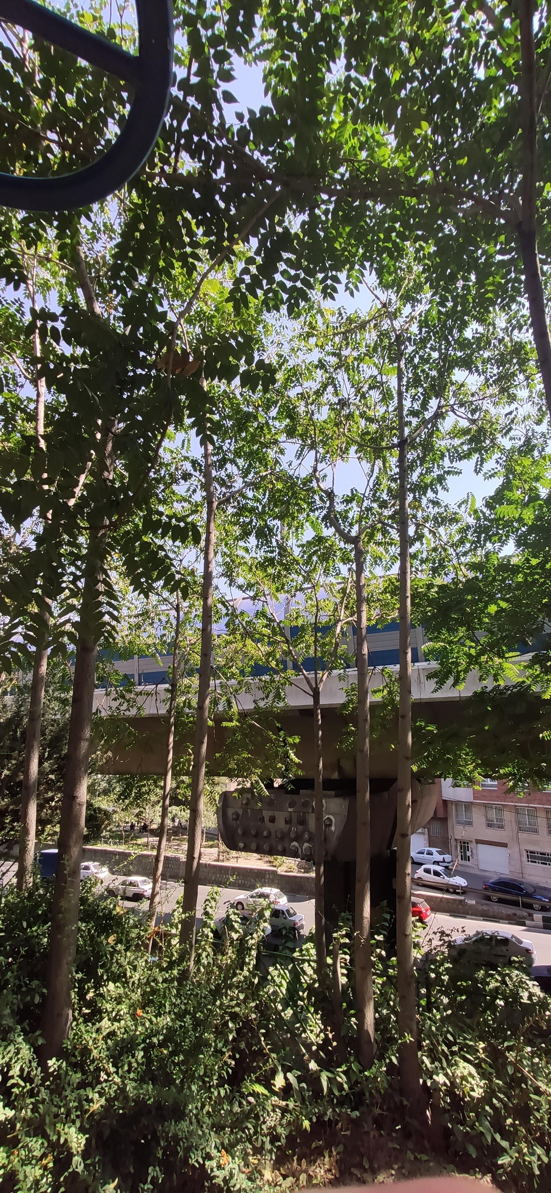 عکس بوستان امید