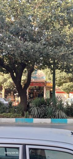 عکس رینگ و لاستیک