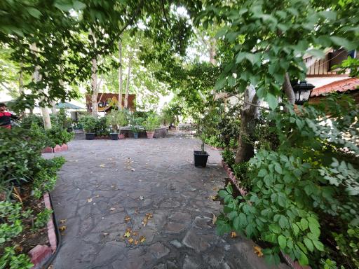 عکس رستوران کاج