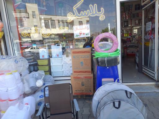 عکس پلاسکو حسن زاده