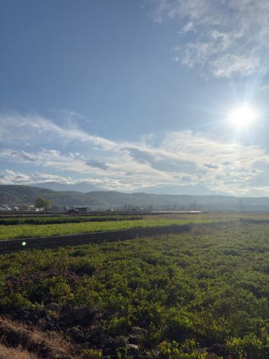عکس رمشی
