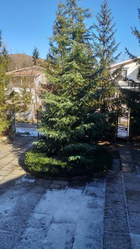 عکس باغ محمد بیگی