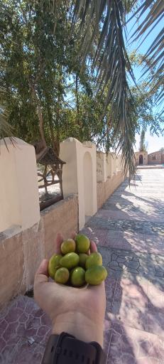 عکس اقامتگاه بومگردی الدیوان