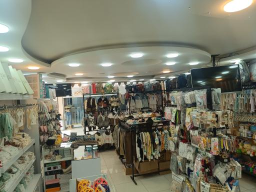 عکس سیسمونی بی بی آریو