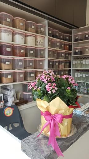 عطاری سناخوان 