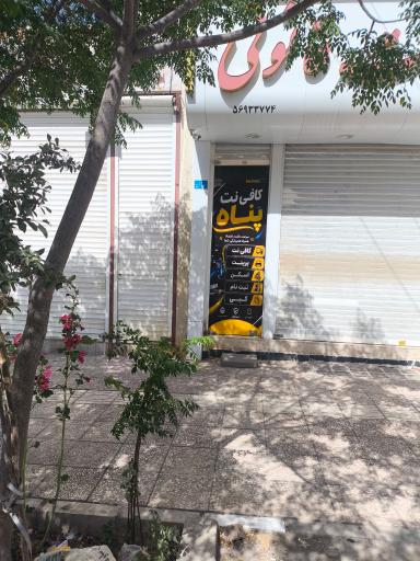 عکس کافی نت پناه