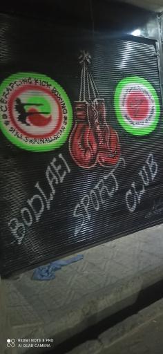 عکس مجموعه ورزشی بودلایی